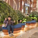 오로라스파&휘트니스 이미지