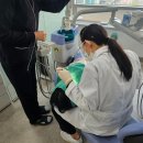 연세봄치과의원 이미지