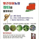 구성농장 이미지