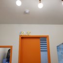 커몽커몽펫 이미지