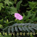 만정지는 만수! 이미지