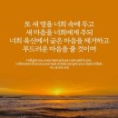 새영 이미지