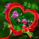 아름다운보석세상
