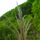 신월2리 이미지