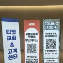 서울 이색 데이트 마곡 코엑스 공룡파충류박람회 다녀온 비추 후기