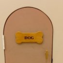 달콤한댕 이미지