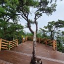 제 193차 정기산행 군산 선유도 이미지