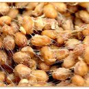 죽리토종식품 이미지