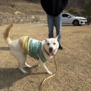 동해 러시아 대게 마을, 횡성 축협 한우 프라자, 횡성한우정육점, 옥천뼈구이 농민뜨끈이, 광천순대, 잇...