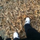 안경마을 안경원 이미지