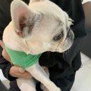 신일환동물병원 이미지