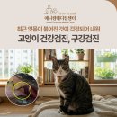 동아엑스레이(X-RAY)메디컬 | 잇몸이 붉어진 것이 걱정되어 내원한 고양이의 건강검진 및 구강검진, 애니컴메디컬센터