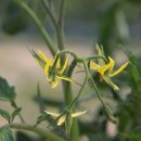 솔밭농원 이미지