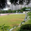 유성초교 이미지