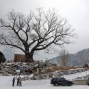 정선초등학교가수분교장 이미지