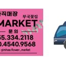 모던광고기획 이미지