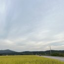 군입정 이미지