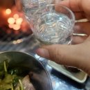 갈마 | 대전 갈마동 맛집 막창 꼼장어 전문 레트로감성 포차연골연탄집 대전갈마점 다녀온후기