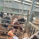 모산농장 이미지