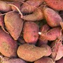 안금농장 이미지