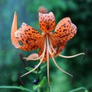 거북민박 이미지