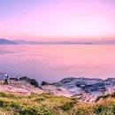 바람의 언덕 이미지