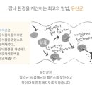 (주)페피테일 이미지