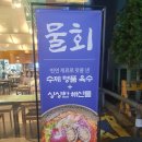 해물섬 | 대전 둔산동 횟집 해물섬 숙성회 활고등어회 맛집 추천
