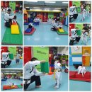 드림아이태권도 이미지