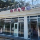 해피독쌤 이미지