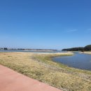 #아름답개 이미지