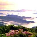상일사 네이버블로그