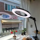 렛츠크래프트노드랩