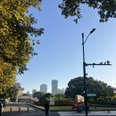 깡´s 치킨 | 🇨🇳上海之戀_4탄(티엔즈팡, 블랜버니, 좌정우원 고덕지도+푸동공항 출국, 중국남방항공 후기)