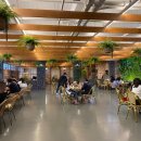 포레스트제이(ForestJ)