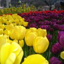 안성맞춤랜드공원13 이미지