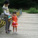 수룡농장 이미지