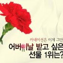 달테라피 이미지