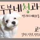 태화청과 이미지