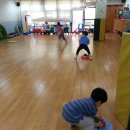 서초연꽃 이미지