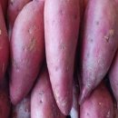 태평양회집 이미지