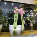와플대학하계장미캠퍼스