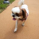 끼리끼리 이미지