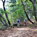 양마산 물빛길 이미지