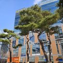 판교삼환부동산중개 이미지