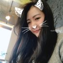 에스티종합안전 이미지