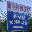 배내로 | 신불산 억새밭 등산 후기 | 배내2 주차장 코스
