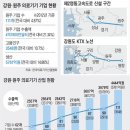 서울보다 행복한 지방 强小도시들 [5] 의료기기 업체만 111개… 日도 부러워하는 그곳, 原州 이미지