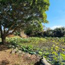 공동정호 이미지