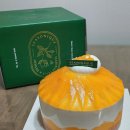 재철농장 | 대구 케이크 맛집 과일 망고케이크 ㅣ 시즈니크 신세계백화점 대구점